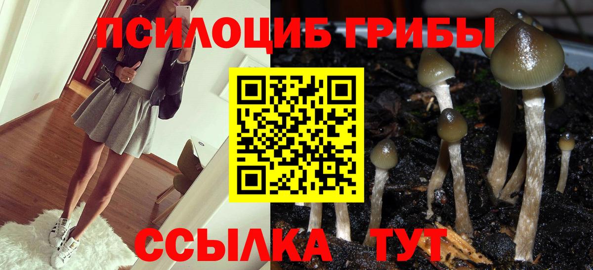 Туапсе  Псилоцибиновые грибы Psilocybine cubensis  Вход с VPN  Псилоцибиновые грибы мухоморы 